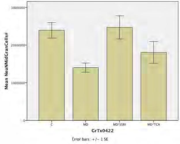 Fewer Mature Neuronal Granule Cells (NeuN-IR) in Dentate Gyrus in