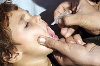1 P a g e ANNUAL REPORT 2012 Polio