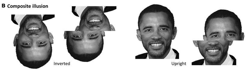 Holistic representation of faces Composite
