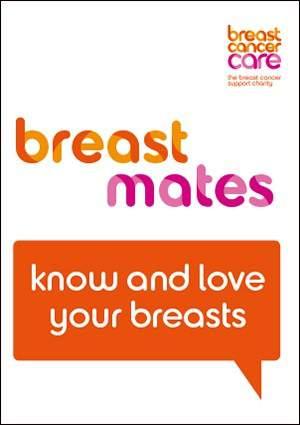 NEW NEW Breast Mates B61158 Workbook and set of 4 A3 laminated posters.
