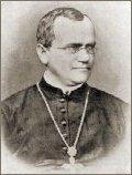 Gregor Mendel 1822 1884, paper read 1865-66 Augustinian monk genotype alleles present at a locus can we identify this? phenotype expressed trait/characteristic can we identify this?