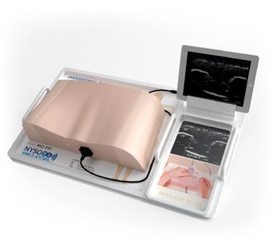MS2-PVT MS2-TAP MS2-VASC TORSO Paravertebral (PVT) and Erectores Spinae Blocks SIMULATOR Spinous Processes Optional Camera to Visually Confirm Correct Needle Placement