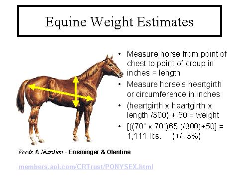 Body Condition Score Body Condition Score is based upon how much fat the horse is