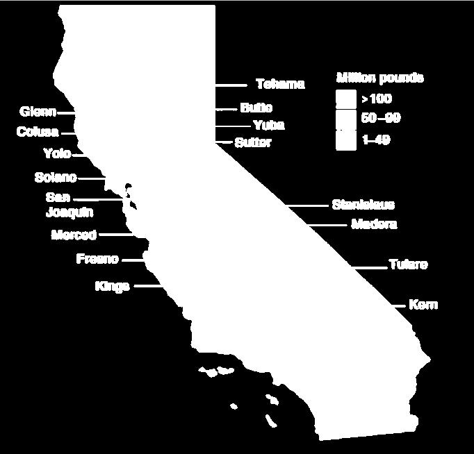 The Scope of the Industry Spanning 500 miles throughout the Central Valley Farm value Approximately $3 Billion 100% of U.S. production 6,000 growers, 100 handlers Approximately 80% of worldwide production #1 California agriculture export* Top U.