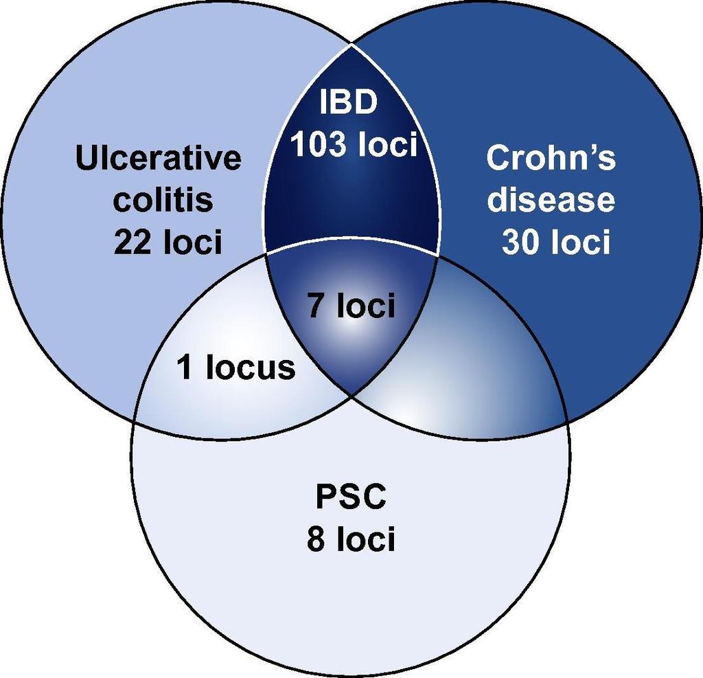 Fig. 2 Genetic overlap between PSC and IBD 163 IBD Loci 16 PSC Loci (Includes independent MHC