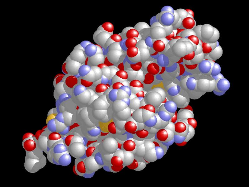 4. Proteins Also called polypeptides Monomers= amino acids A protein is a chain of amino acids linked by peptide bonds