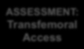0 m/s ASSESSMENT: Transfemoral Access 1:1 Randomization Inoperable defined as risk of death or serious