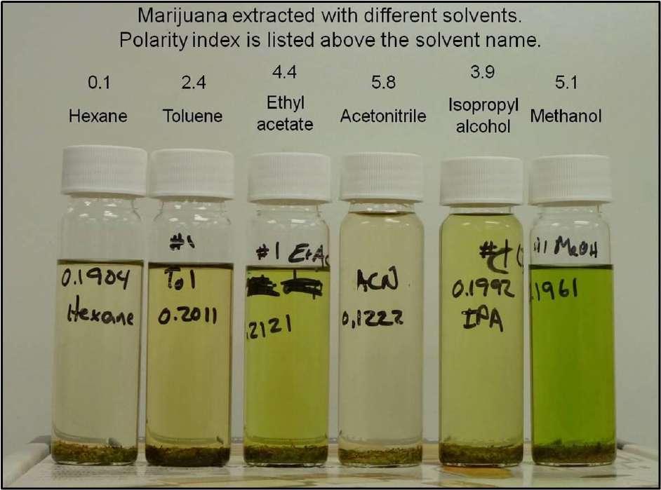 Methanol was the most efficient extraction solvent for delta-9-thca (analyzed