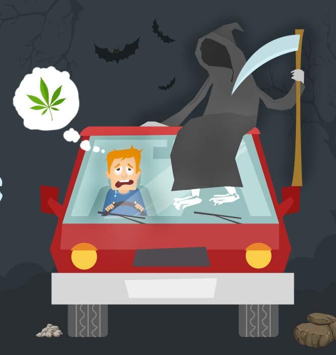 Impaired Driving Driving under the influence of marijuana is associated with a 92% increased risk of vehicular crashes. Such driving is associated with a 110% increase in fatal crashes. Asbridge, M.