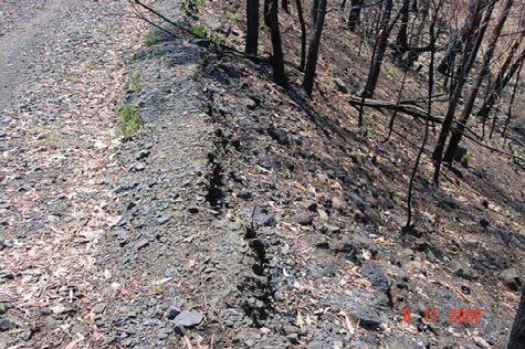 Therefore vetiver grows best Photo 2: Upper: Vetiver grass surviving forest fire; lower: two months after the fire.