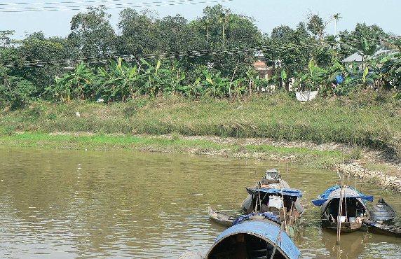 2 VS trial and promotion for river bank protection in Quang Ngai As another result of this pilot project, vetiver was recommended