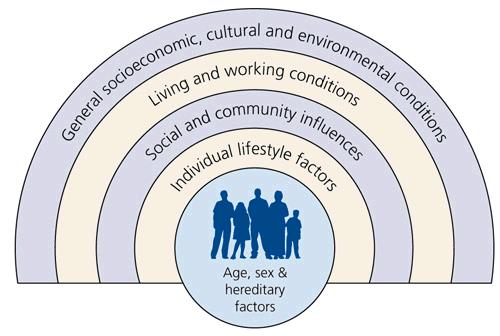 Collective Impact in Health Addressing Social Determinants of Health Upstream Requires Collaboration Between Diverse Actors Collective Impact is a way that communities can organize themselves to