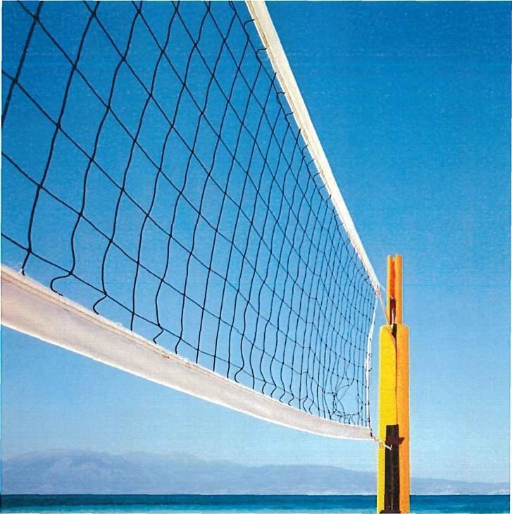 COMPETITIVE RECREATIONAL VOLLEYBALL A Course Description: Have fun while getting some exercise! Do you like to play volleyball and need a place to play?