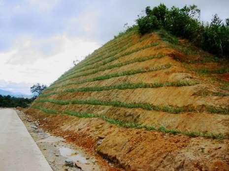 of Transport adopted VS as a preferred erosion control measure on all new sections of the