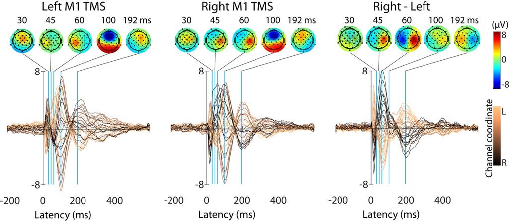 Miyakoshi, Makeig, Borich in prep X TMS-evoked EEG