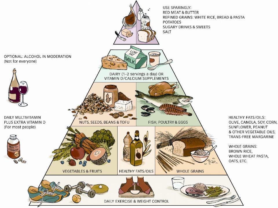 Healthy Eating Pyramid Dr.