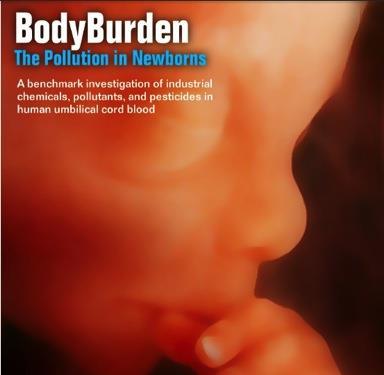 Fetal and early life exposure