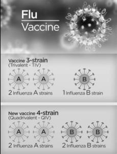 A/Singapore/INFIMH-16-0019/2016 (H3N2)-like virus, B/Colorado/06/2017-like (B/Victoria lineage) virus. Quadrivalent vaccines, B/Phuket/3073/2013-like (B/Yamagata lineage) virus https://www.cdc.