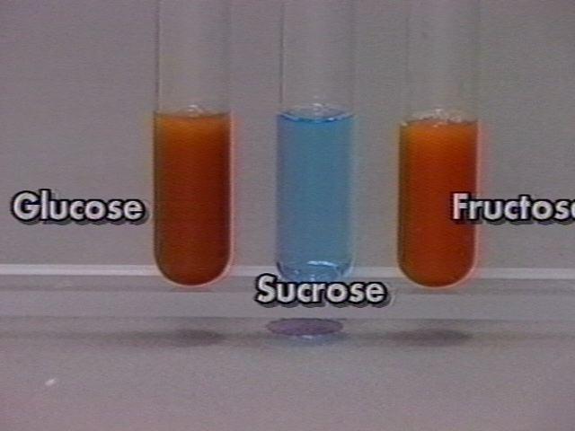 A glucose solution (positive control) B water (negative control) C grape juice D milk E starch solution F egg solution 5.