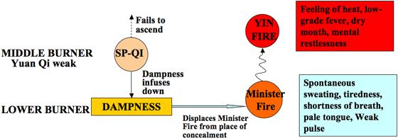 When the Lower Burner is opened and unblocked from Dampness, the Minister Fire will return to its place of concealment in the Lower Burner, thus eliminating the symptoms of Yin Fire (Fig. 13). Fig.