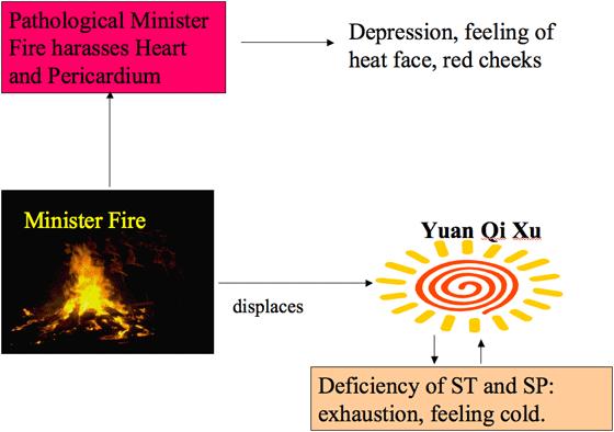 As the Minister Fire and the Original Qi reside in the same place in the Lower Dan Tian, the pathological Minister Fire displaces and weakens the Original Qi even more.