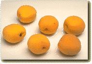 Apricots 3 apricots - 114g vit. C - 20% vit.