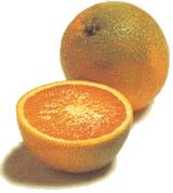Vitamin C (Ascorbic acid ) Vitamin C is the most famous vitamin.