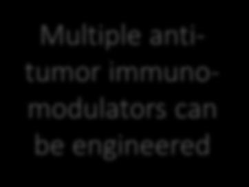 Solid tumor & hematological malignancies Antigen specific domain Advantages