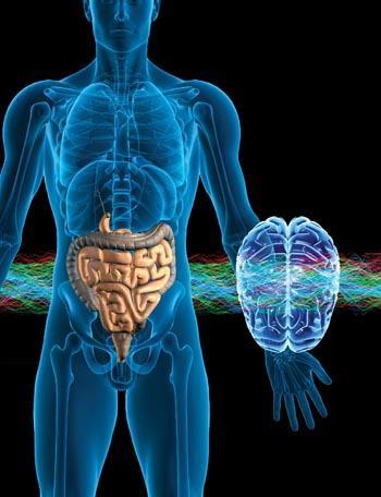 Gut Microbiota Several studies have shown with antibiotic treatment increases the risk of status epilepticus and symptomatic seizures Status epilepticus: repeated seizures one after another without