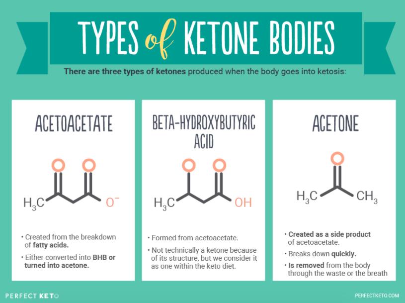 Acetoacetate (AcAc), Acetone and β- hydroxybutyrate (BHB) Acetoacetate principle ketone body produced and utilized during intermediary metabolism other ketone bodies are derived from AcAc Acetone