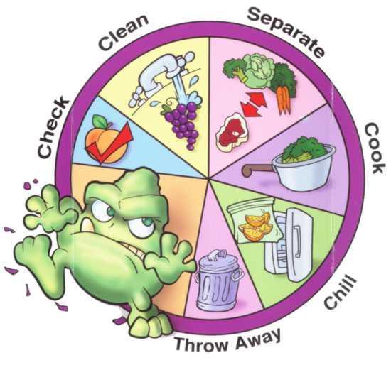 Four key recommendations for food safety 1. Clean 2. Separate 3. Cook 4.