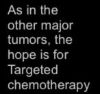 Cell Adhesion Apoptosis RAS RAF WNT NOTCH Pancreatic Cancer