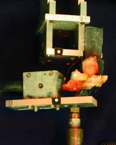 After mounting, each specimen was orientated in an anatomic position with the CC ligament complex centered under the crosshead of the materials testing machine to ensure proper loading of the CC