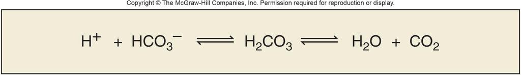 Acid-base balance, cont 3. Respiratory Regulation of Acid-Base Balance a.