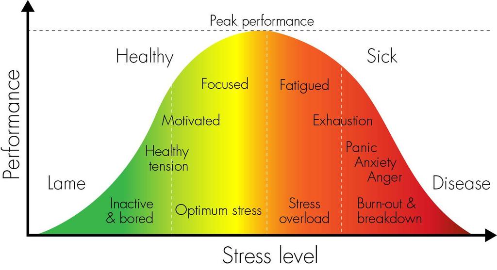 Stress and Performance No stress equals no performance Inertia, procrastination etc Some stress associated with higher