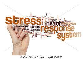 Stress Response Appropriate and Life Protecting providing: It is only turned on when it needs to be It is allowed to turn off