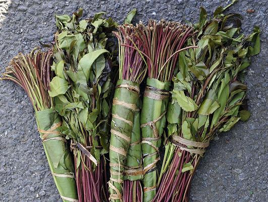 Consequences of criminalisation The Dutch Khat market before and after the ban ESSD