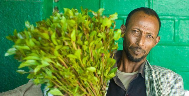 trade Prohibition of khat has created an opportunity for transnational crime (Sweden,