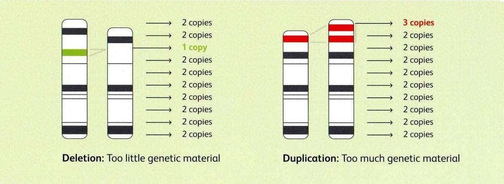 Chromosomal Microarray (Comparative Genomic Hybridization, array CGH) Molecular technique to detect