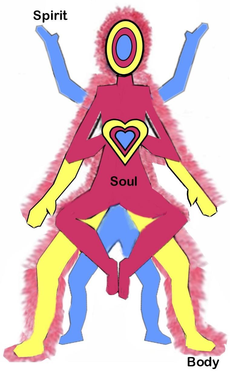 ACUCOLORS ADDRESSES: the WHOLE Person in Body-Soul-Spirit Physical Body: The major focus of Western Medicine the Body is the physical vector which carries the Soul and the Spirit in this world.