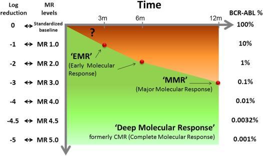 Levels of molecular response and corresponding log-reduction and BCR-ABL1 transcript levels on the International Scale.