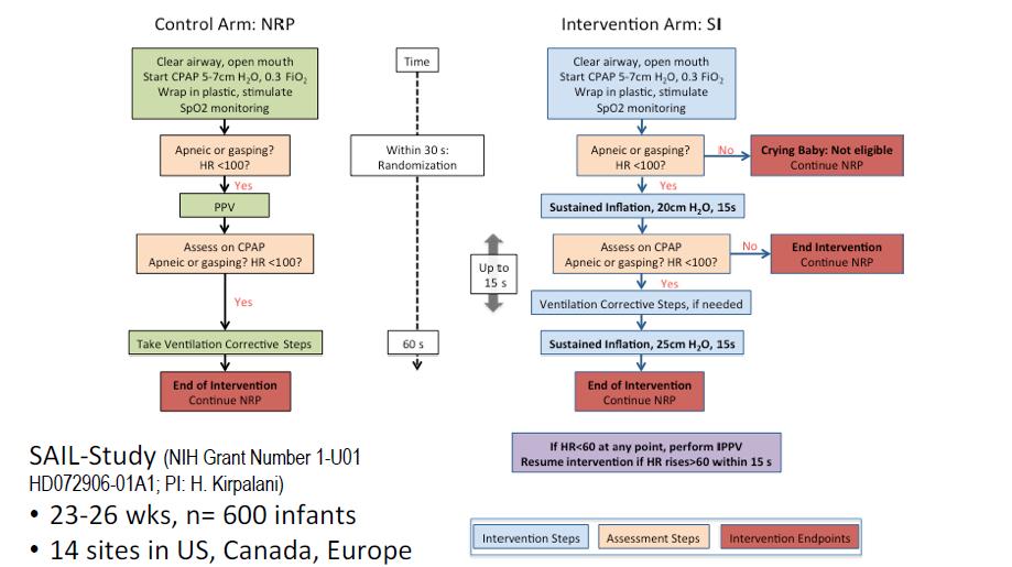Sustained Aeration of Infant Lungs (SAIL) trial: Study Protocol for a RCT Foglia et al.