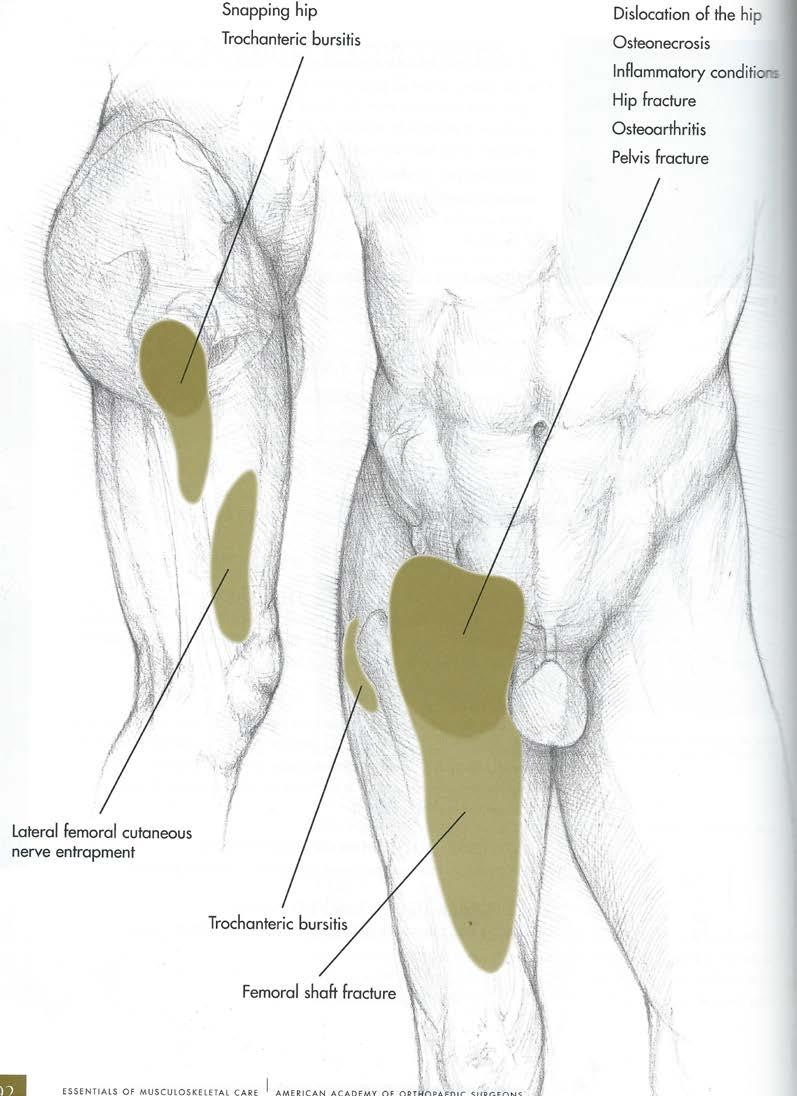 The Painful Hip
