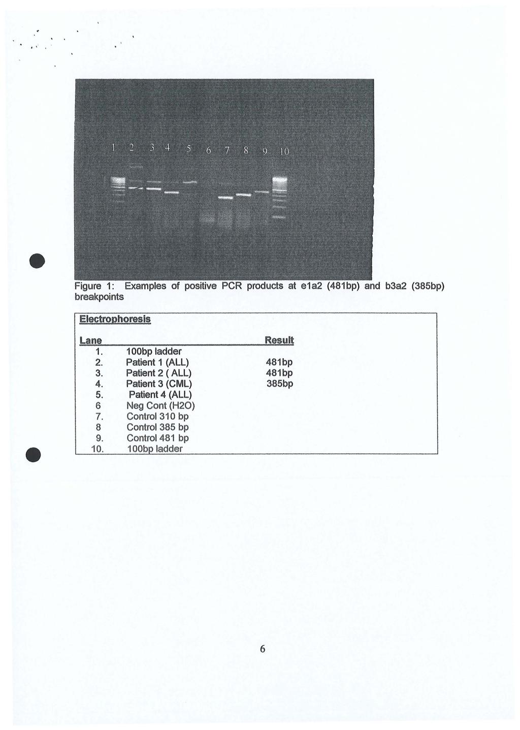 Figure 1: Examples of positive PCR products at e1a2 (481bp) and b3a2 (385bp) breakpoints Electrophoresis Lane 1. 2. 3. 4. 5. 6 7. 8 9. 10.