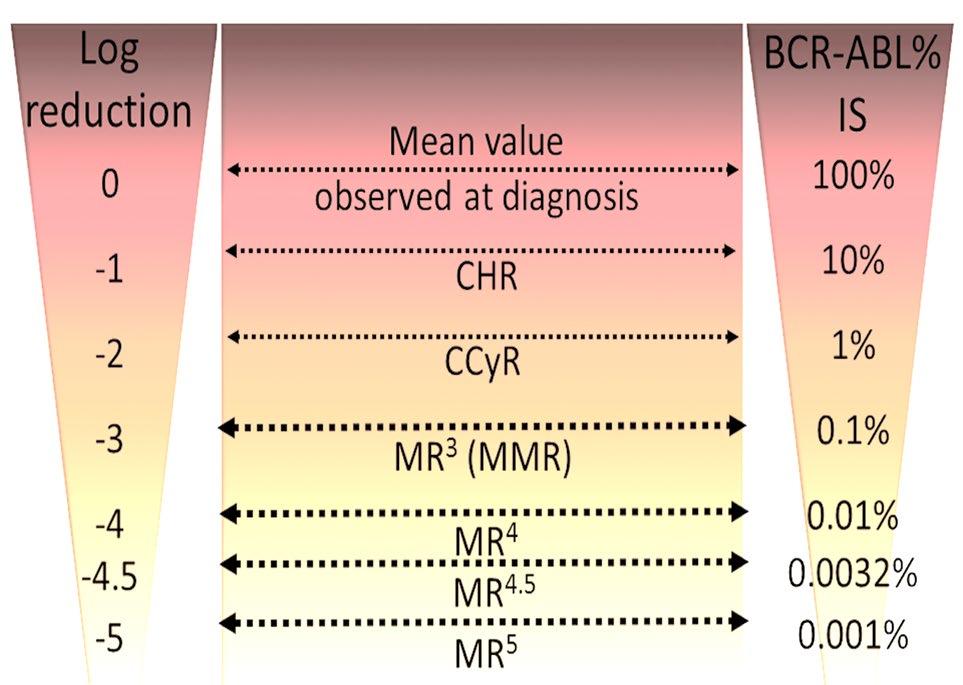 Quantitative RT-PCR for BCR-ABL1 transcripts (International Scale)