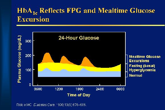 Both FPG and PPG Contribute to Elevated A1C Levels