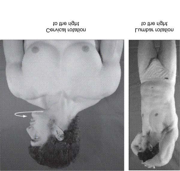 Movements Spinal rotation (left or right) rotary movement of spine in horizontal plane; chin rotates from neutral