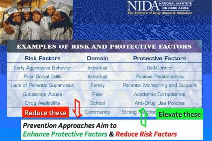 Risk factors: Challenge an individual s emotional, social and academic development Protective factors: Can lessen the impact of risk factors. Their impact varies along the developmental process.