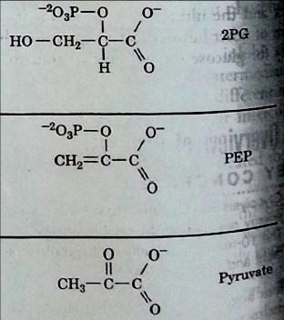 phosphate molecules converted to