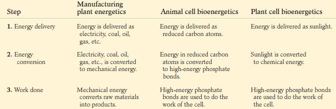 Energy Changes in Living Organisms First, energy is delivered to the cell or